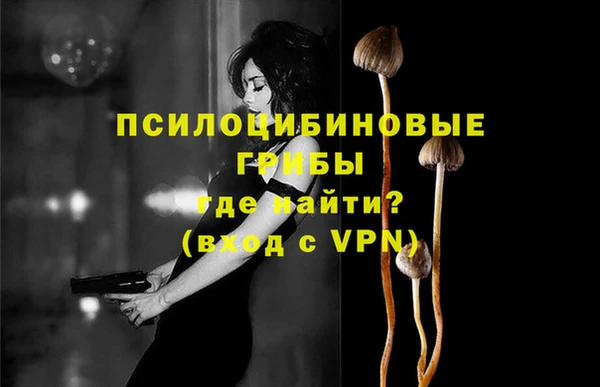 хмурый Вязники