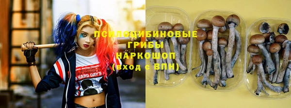 хмурый Вязники